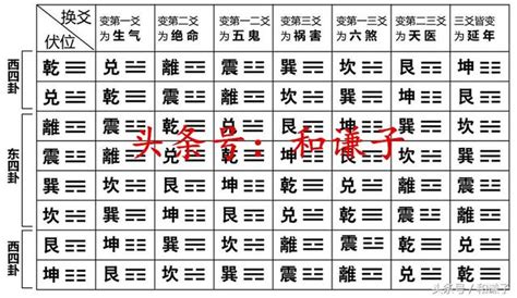 禍害絕命|八宅風水:生氣、延年、天醫、伏位；絕命、五鬼、六。